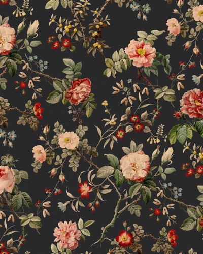 Tapet floral Thorn Rose cu trandafiri pe un fundal închis.