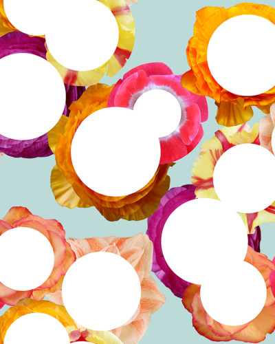 Flower Dot, Rebel Walls