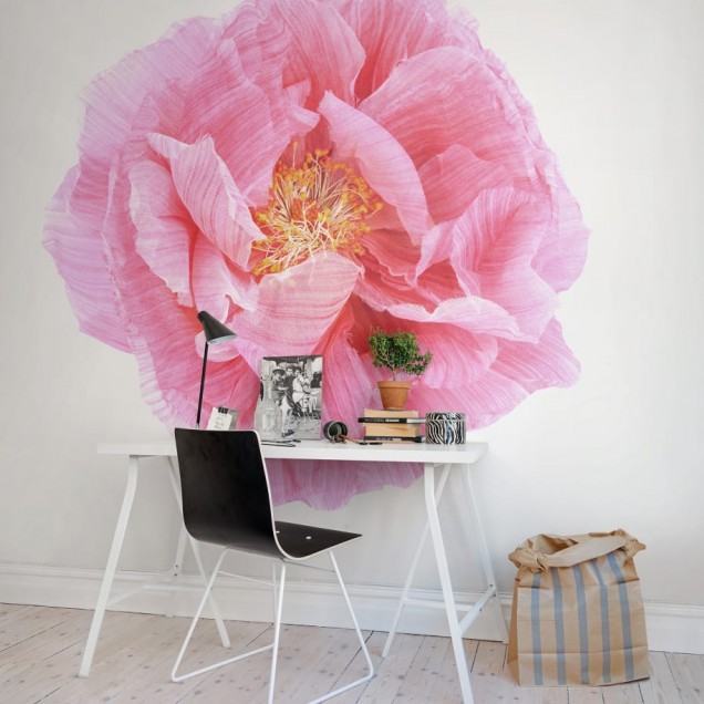 Tapet floral cu un mac roz, in camera de dining