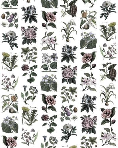 Tapet cu design floral delicat, perfect pentru living, dormitor sau birou. Creaza o atmosfera relaxanta si primitoare in casa ta.