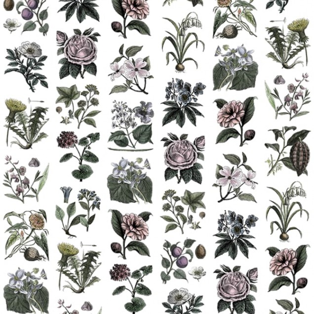Tapet cu design floral delicat, perfect pentru living, dormitor sau birou. Creaza o atmosfera relaxanta si primitoare in casa ta.
