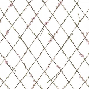 Fototapet Winding Spring, personalizat, Rebel Walls