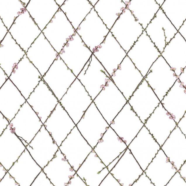Tapet cu design delicat, Winding Spring, cu ramuri delicate care se intersectează într-un model geometric, încadrat de flori roz.