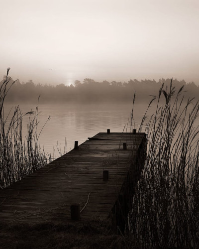 Tapet decorativ cu un lac cu ceață și o punte de lemn - Misty Lake