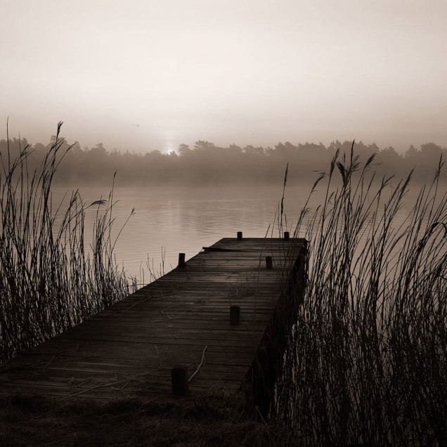 Tapet decorativ cu un lac cu ceață și o punte de lemn - Misty Lake