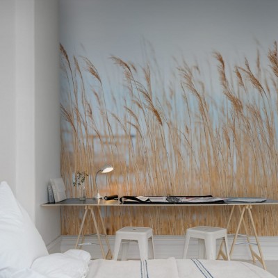 Tapet cu design minimalist Swaying Wheat