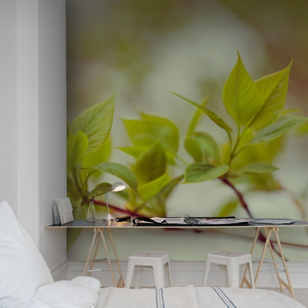 Green Leaves - Tapet cu design modern cu frunze verzi delicate