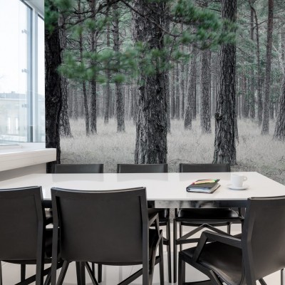 Foto tapet 3D Pine Forest, personalizat, Rebel Walls, Fototapet living 