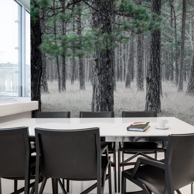 Tapet 3D cu Pădure de Pini - Design Natural și Relaxant