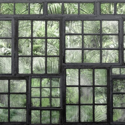 Tapet 3D Perspective Jardin, Noir, cu un design modern cu ferestre și vegetație tropicală.