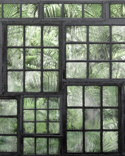 Tapet 3D Perspective Jardin, Noir, cu un design modern cu ferestre și vegetație tropicală.