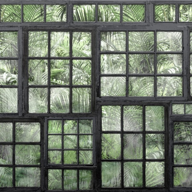 Tapet 3D Perspective Jardin, Noir, cu un design modern cu ferestre și vegetație tropicală.