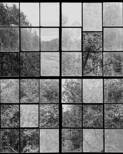 Tapet 3D Factory Window, Graphite, cu o vedere a unei păduri printr-un perete din sticlă, în tonuri de gri monocromatice.