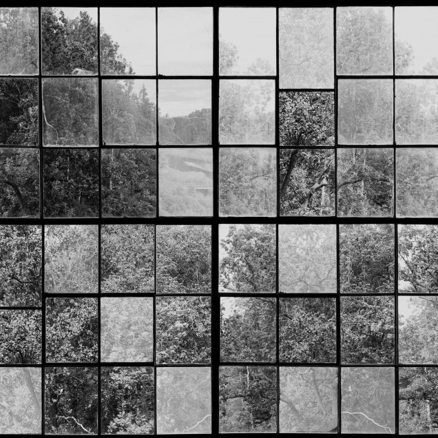Tapet 3D Factory Window, Graphite, cu o vedere a unei păduri printr-un perete din sticlă, în tonuri de gri monocromatice.