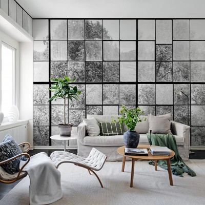 Tapet 3D Factory Window, Graphite, cu o vedere a unei păduri printr-un perete din sticlă, în tonuri de gri monocromatice.