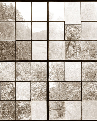 Tapet 3D Factory Window, Sepia cu aspect vintage elegant, ilustrand o colecție de ferestre vechi cu vedere spre o pădure