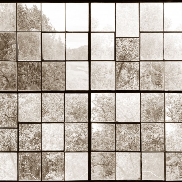 Tapet 3D Factory Window, Sepia cu aspect vintage elegant, ilustrand o colecție de ferestre vechi cu vedere spre o pădure