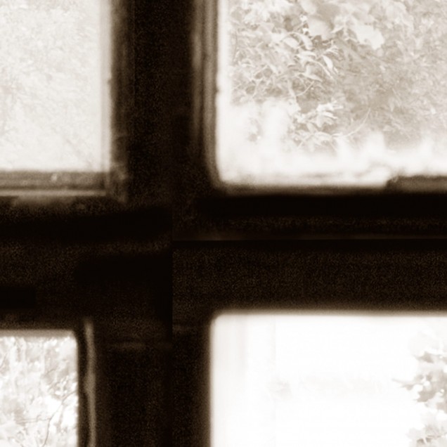 Tapet 3D Factory Window, Sepia cu aspect vintage elegant, ilustrand o colecție de ferestre vechi cu vedere spre o pădure