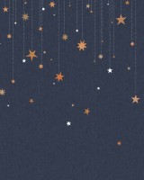 Stargazing, Rebel Walls