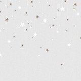 Stargazing, Dusk, Rebel Walls