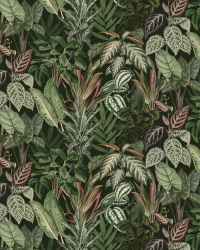 Tapet Mischievous Monkeys, Lush, cu design tropical vibrant, featuring maimuțe jucause ascunse printre frunzele luxuriante.