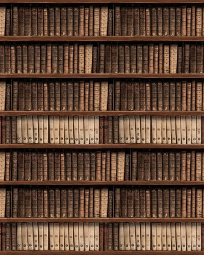 Tapet care imită o bibliotecă plină de cărți antice.