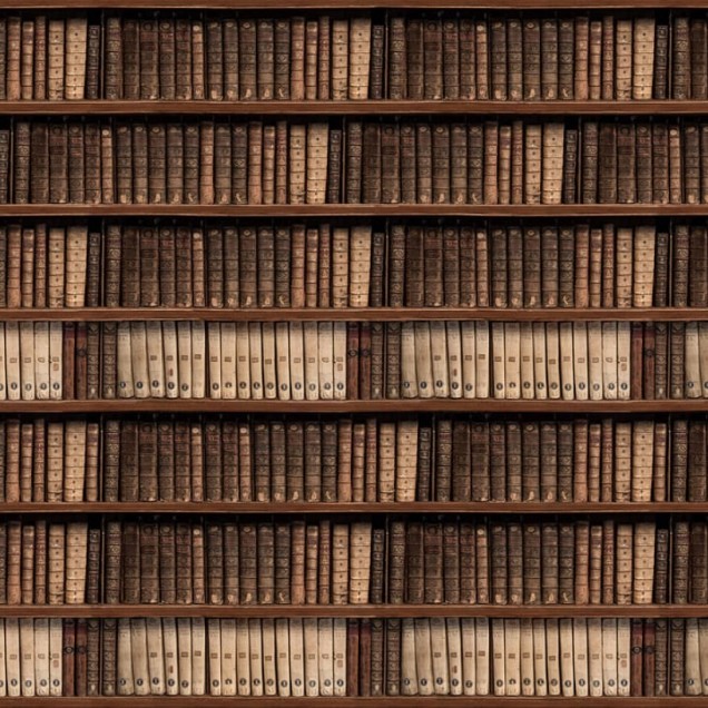 Tapet care imită o bibliotecă plină de cărți antice.