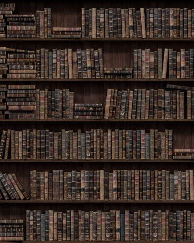 Tapet cu design vintage, biblioteca plina cu carti vechi