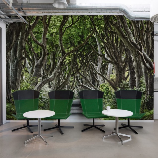 Tapet 3D Magical Alley, cu un drum forestier magic, oferind o atmosfera relaxantă.