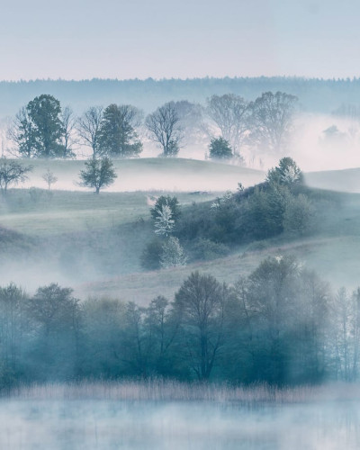 Tapet 3D Morning Haze cu design liniștit de pădure învăluită în ceață, perfect pentru camera de zi sau dormitor.