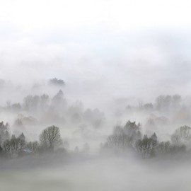 Foto tapet 3D Morning Fog, personalizat, Rebel Walls