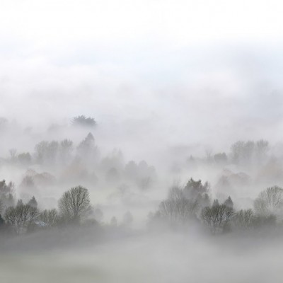 Foto tapet 3D Morning Fog, 248x265cm, Rebel Walls, Fototapet living 