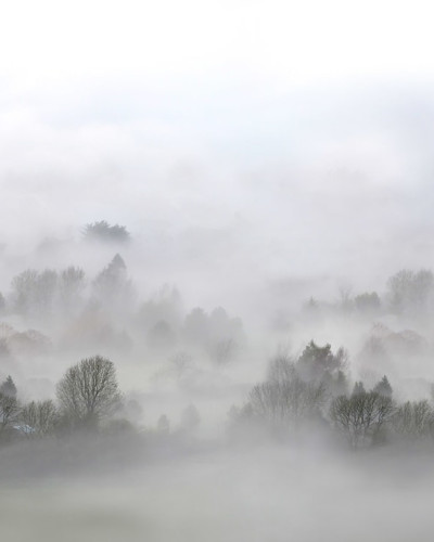 3D Morning Fog - Tapet ceata