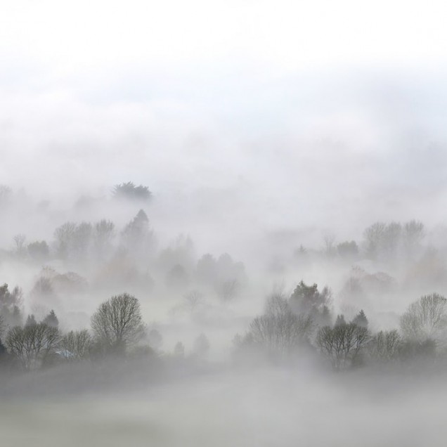 3D Morning Fog - Tapet ceata