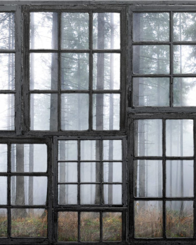 Fototapet cu imaginea unei cabane misterioase într-un interior modern