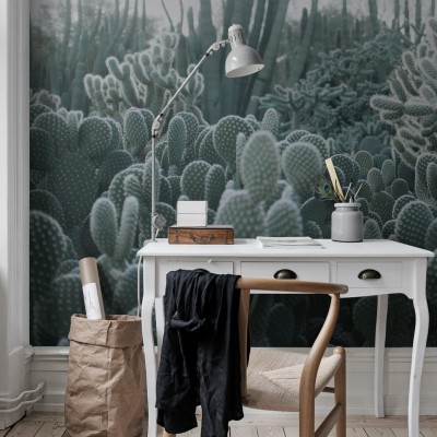 Foto tapet 3D Cacti, personalizat, Rebel Walls, Fototapet dormitor 