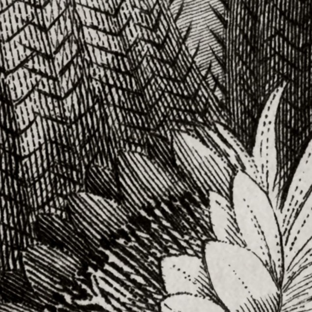 Tapet de perete cu design artistic al unui desert plin de cactusi.