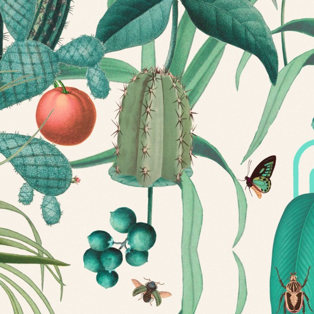 Tapet cu un design tropical cu cactuși, păsări și insecte