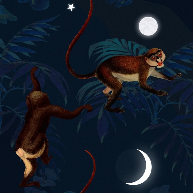 Tapet cu maimuțe Space Monkey