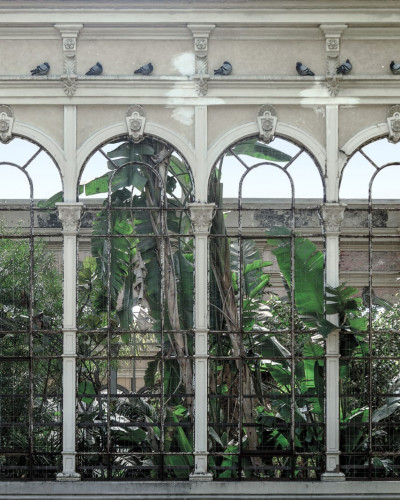 Tapet Dove Gardens - o grădină de lux pentru casa ta.