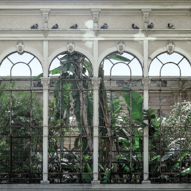 Tapet Dove Gardens - o grădină de lux pentru casa ta.