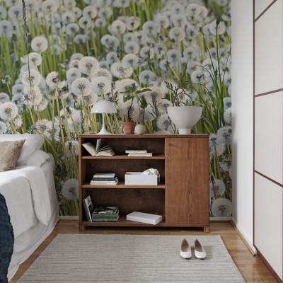 Dandelion wallpaper, featuring a close-up image of a field of dandelions, with their fluffy white seed heads standing tall against a backdrop of green grass.