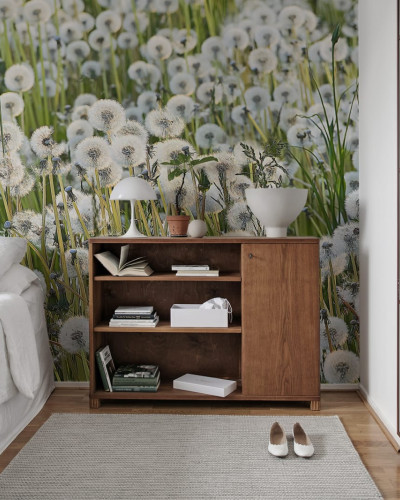 Dandelion wallpaper, featuring a close-up image of a field of dandelions, with their fluffy white seed heads standing tall against a backdrop of green grass.