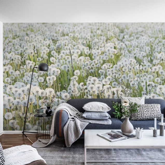 Dandelion wallpaper, featuring a close-up image of a field of dandelions, with their fluffy white seed heads standing tall against a backdrop of green grass.