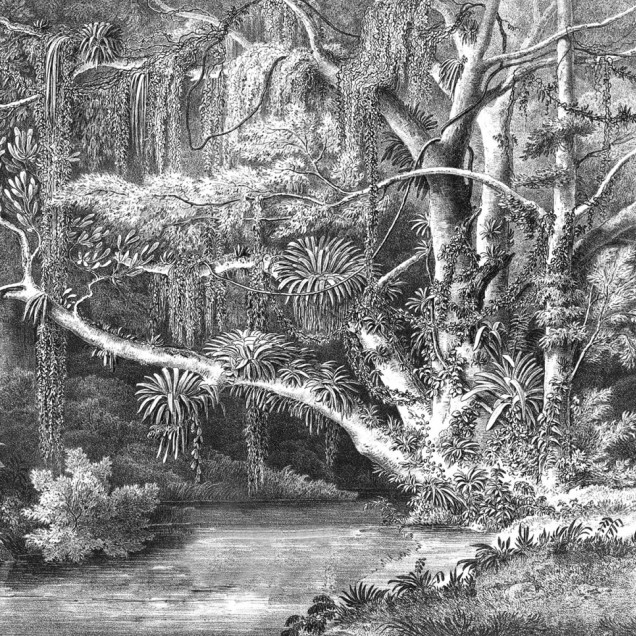 Un tapet cu ilustrații fine și tonuri gri cu o pădure luxuriantă cu o fântână ascunsă printre arbori.