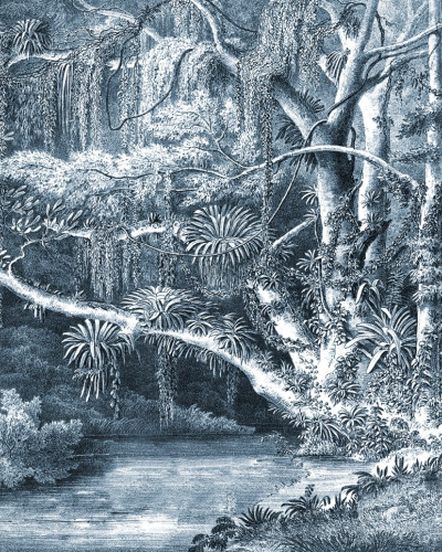 Tapet Secret Well, Frost cu design botanic