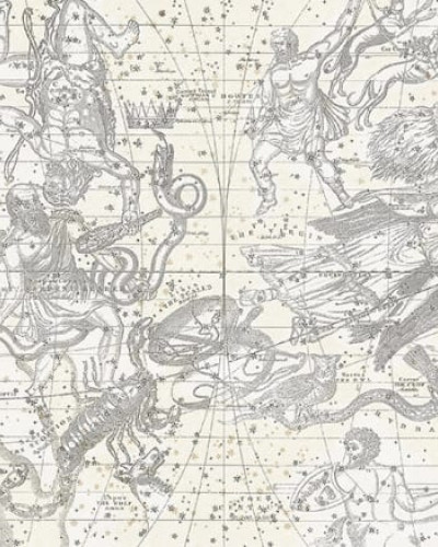 Tapet Star Map Alb, cu o hartă veche a stelelor cu constelații și stele strălucitoare.
