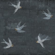 Fototapet Concrete Art, Night Swallow, personalizat, Rebel Walls
