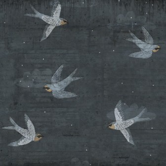 Fototapet Concrete Art, Night Swallow, Rebel Walls