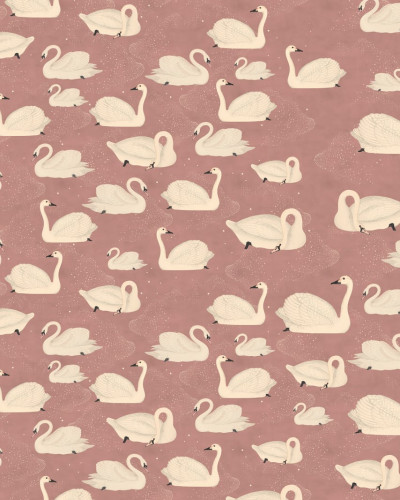 Tapet 3D Cygne, Rose, cu lebedele albe pe un fundal roz delicat